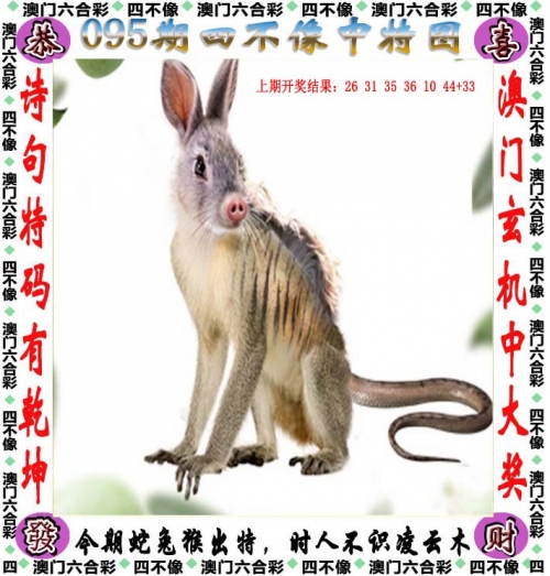 澳门开奖结果2023开奖记录表澳门2023开奖结果及开奖记录表-第2张图片