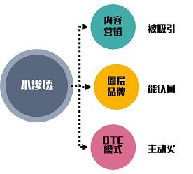 2023一码一肖，预测与成功的秘密-第1张图片