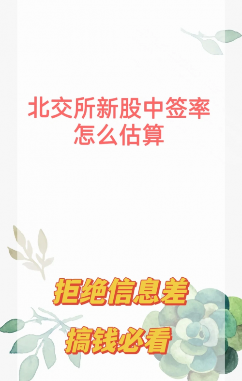 新股申购与中签查询新股申购与中签查询-第2张图片