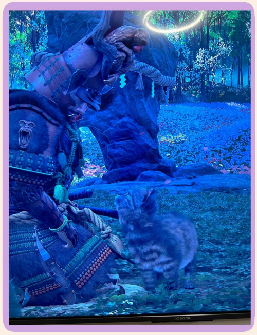对马岛之旅，探索神秘之地