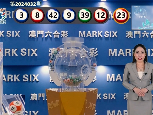 2024新奥资料免费大全