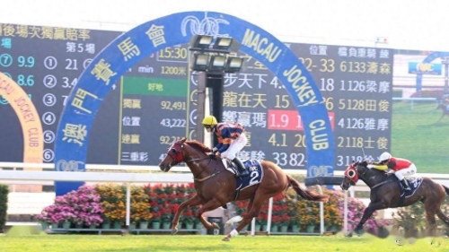 2021年马会正版香港资料大全-第1张图片