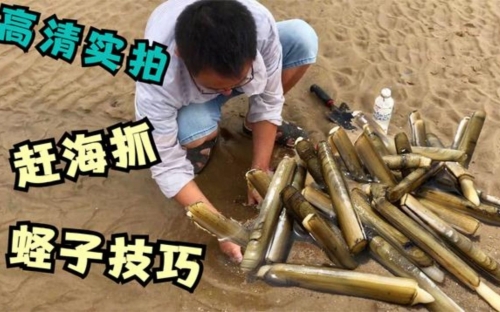 阿牛赶海最新视频赶牛阿旗，草原上的传奇-第2张图片