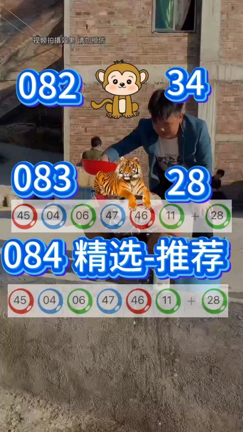 澳门天天彩期期精准澳门之旅，探寻神秘49629