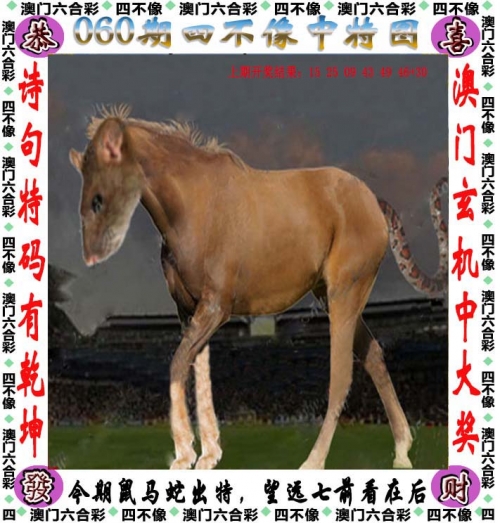二四天天好彩859赢彩，彩市新篇章