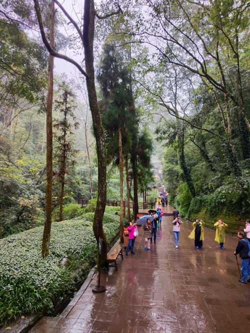 成都到青城山动车时刻表成都至青城山动车时刻表