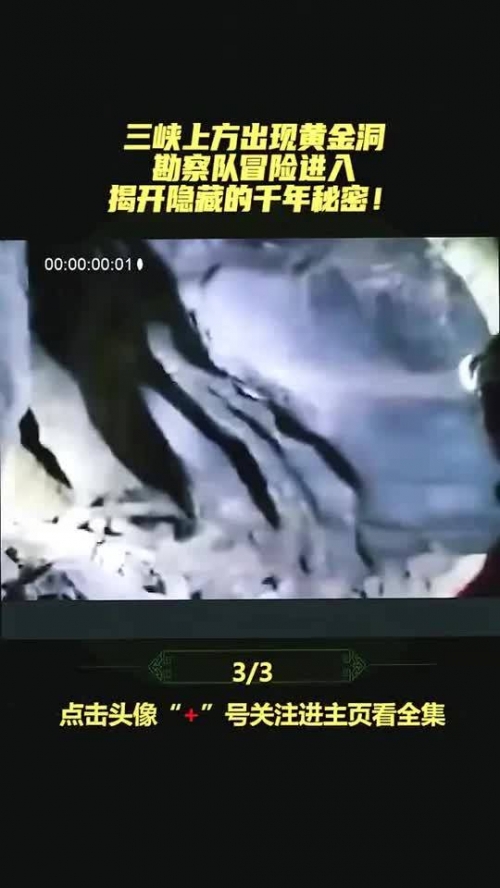 遗忘契约遗忘契约，揭开隐藏的秘密