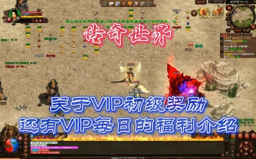 新龙之传奇王者争霸新龙之传奇