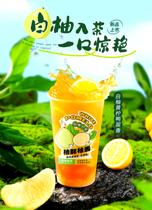 金鹰网站，引领网络新潮流-第2张图片