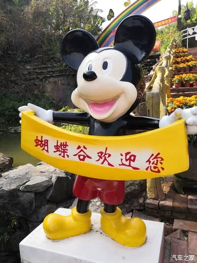 蝴蝶谷论坛，探索自然之美与交流心得
