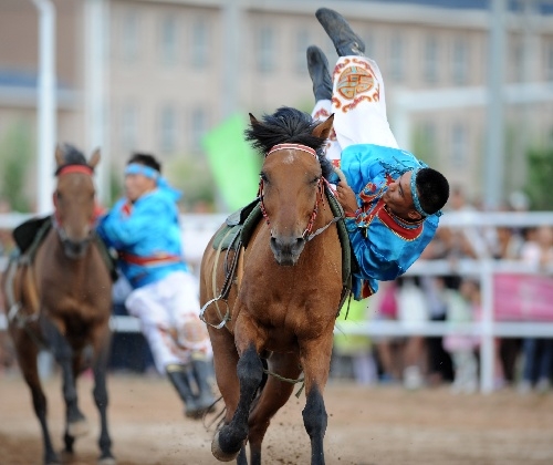 赛马彩票，探索彩票新世界