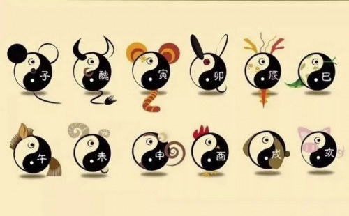 发财一肖一码发财一肖一码，揭秘幸运密码