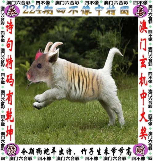 香港正版综合资料大全香港正版综合资料大全-第3张图片