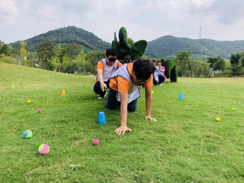 55gg小游戏55gg小游戏，探索虚拟世界的趣味之旅