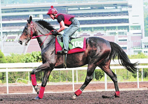 香港赛马会最准资料免费资料香港赛马会最准资料免费资料介绍-第2张图片