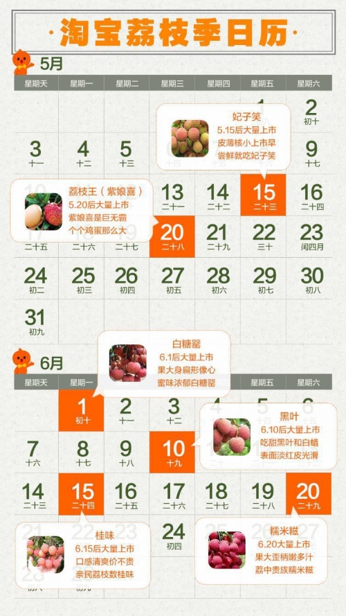 号码预测号码预测，揭示未来趋势的神秘力量