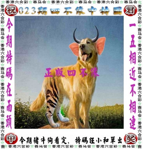 新澳门最新开奖历史结果回顾