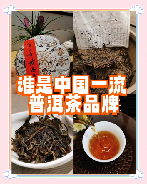中国普洱茶中国普洱茶，千年传承的茶文化瑰宝-第2张图片