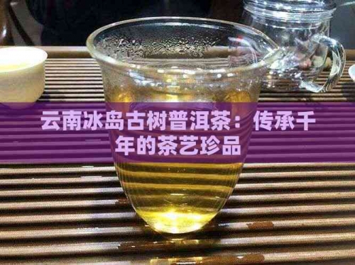 中国普洱茶中国普洱茶，千年传承的茶文化瑰宝