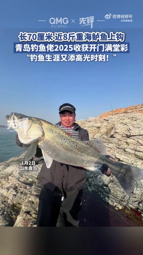 钓鱼王论坛，探索钓鱼爱好者的交流平台