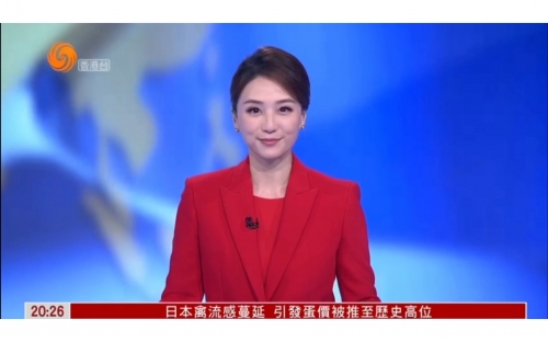 本港台新闻故事-2003本港台新闻概览