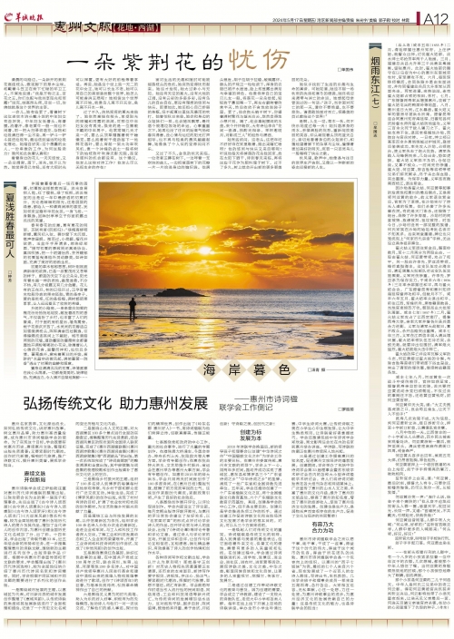 香港开奖直播开奖记录 小说香港开奖直播，神秘开奖记录小说