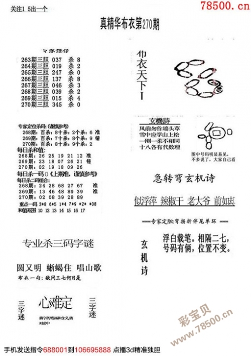 彩摘网，布衣天下新篇章