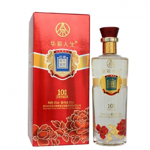 华彩网大红门，璀璨盛典的门户