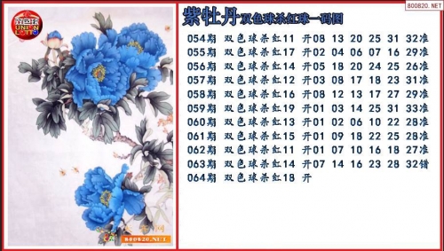 澳码精准100%一肖一码最准肖双色球开奖结果澳码精准100%一肖一码最准肖，揭秘精准预测-第3张图片