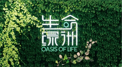 董易奇董易奇，智慧与创新的引领者-第2张图片