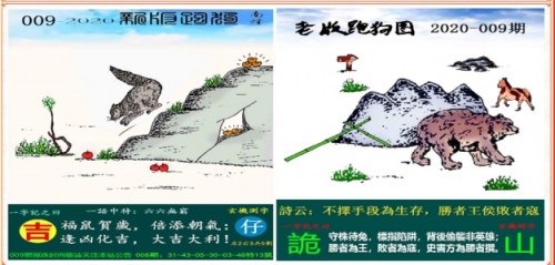35图库大全35图库大全-第2张图片