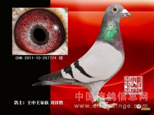 493333王中王开奖结果1王中王开奖结果揭晓，493333