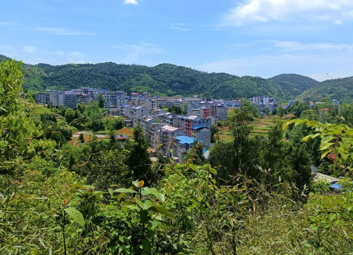黄桑坪黄桑坪之美