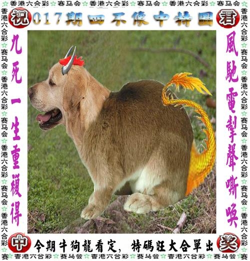 新澳天天开奖资料大全1052期十二不中新澳天天开奖资料大全1052期