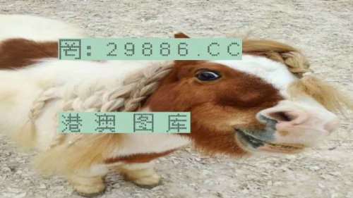 2019年今天特马图片2019今日特马结果回顾-第3张图片