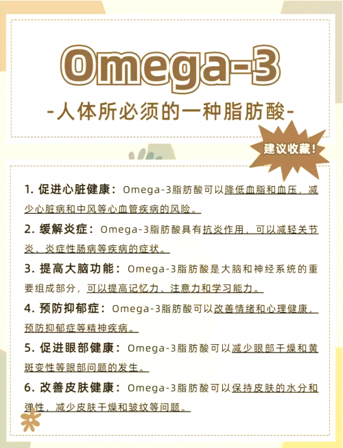 正版资料与内部资料，双重价值与选择-第2张图片