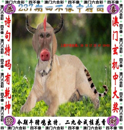 白小姐三码期期中白小姐三码期期准，精准预测的智慧