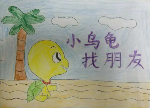 小海龟小海龟的故事-第1张图片