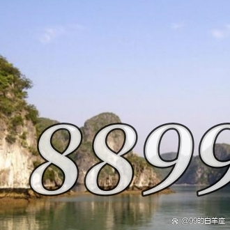 889999.com889999.com，探索无限可能-第1张图片