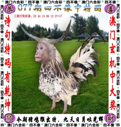 今晚香港开什么码145期今晚香港开码活动盛况揭晓