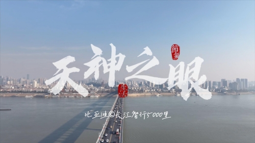 最强神眼最强神眼，洞察世间万象的神秘之眼-第2张图片