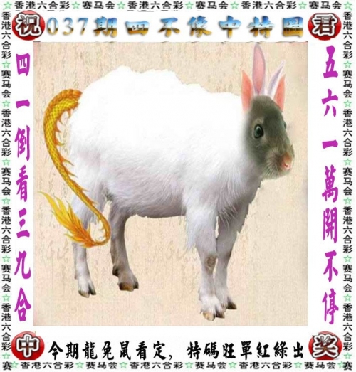 香港开奖直播开奖记录 小说香港开奖直播，神秘开奖记录小说