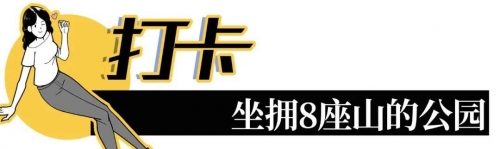 870000.com870000.com，数字背后的故事与启示
