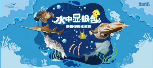 5703小游戏探索之旅