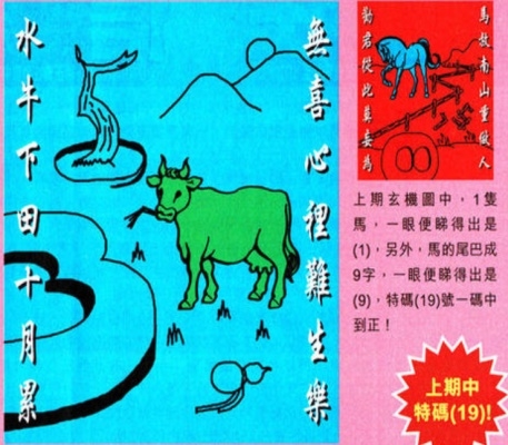 2021年今晚开什么生肖特号码2021年今晚开什么特马-第1张图片