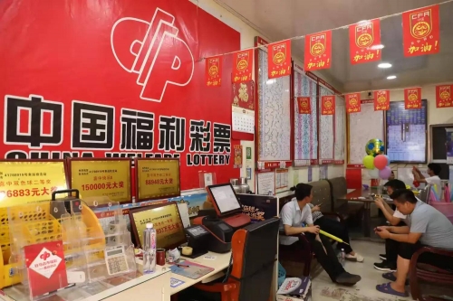 福利彩票双色球最新一期中奖号码福利彩票双色球最新一期中奖号码揭晓-第3张图片