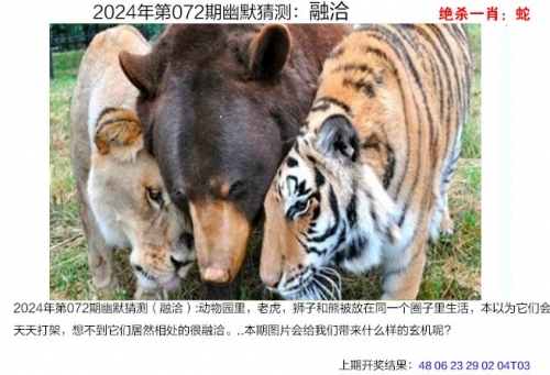 626969四不像四不像之谜，626969-第2张图片