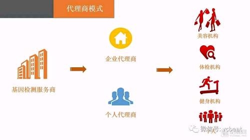 500.com，数字时代的网络交易新选择-第2张图片