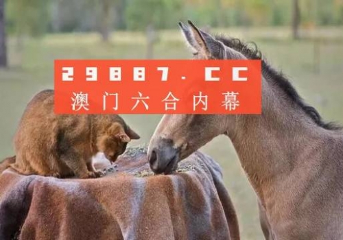 2022澳门彩免费资料大全公开-第2张图片