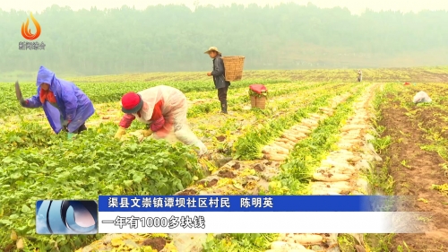 达州赚钱最快的行业四川达州做什么赚钱？